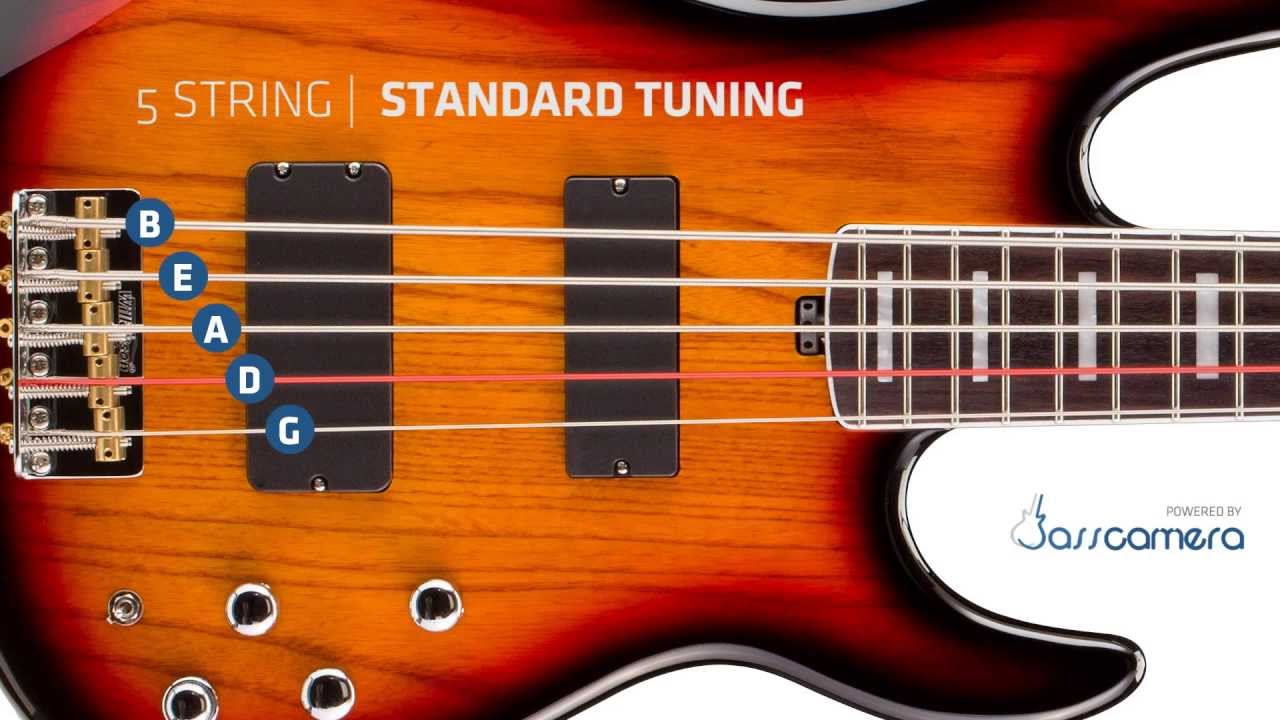 Bass tuning. 5 String Bass Tuning. Бас гитара Tune. Standart Tune Guitar. Standard Tuning гитара.